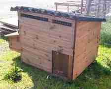 Swinford chicken or duck house