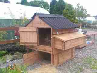 raised layers house for 12 hens