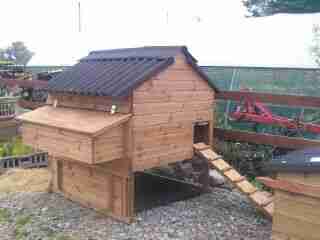 raised poultry coop